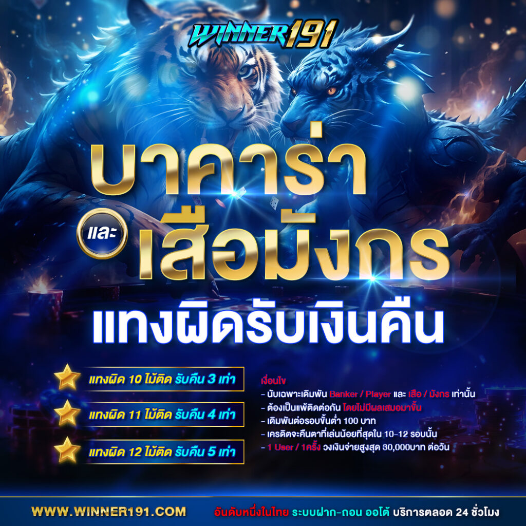 โปรโมชั่น 4